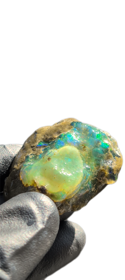 Ethiopian Water Opal 58
